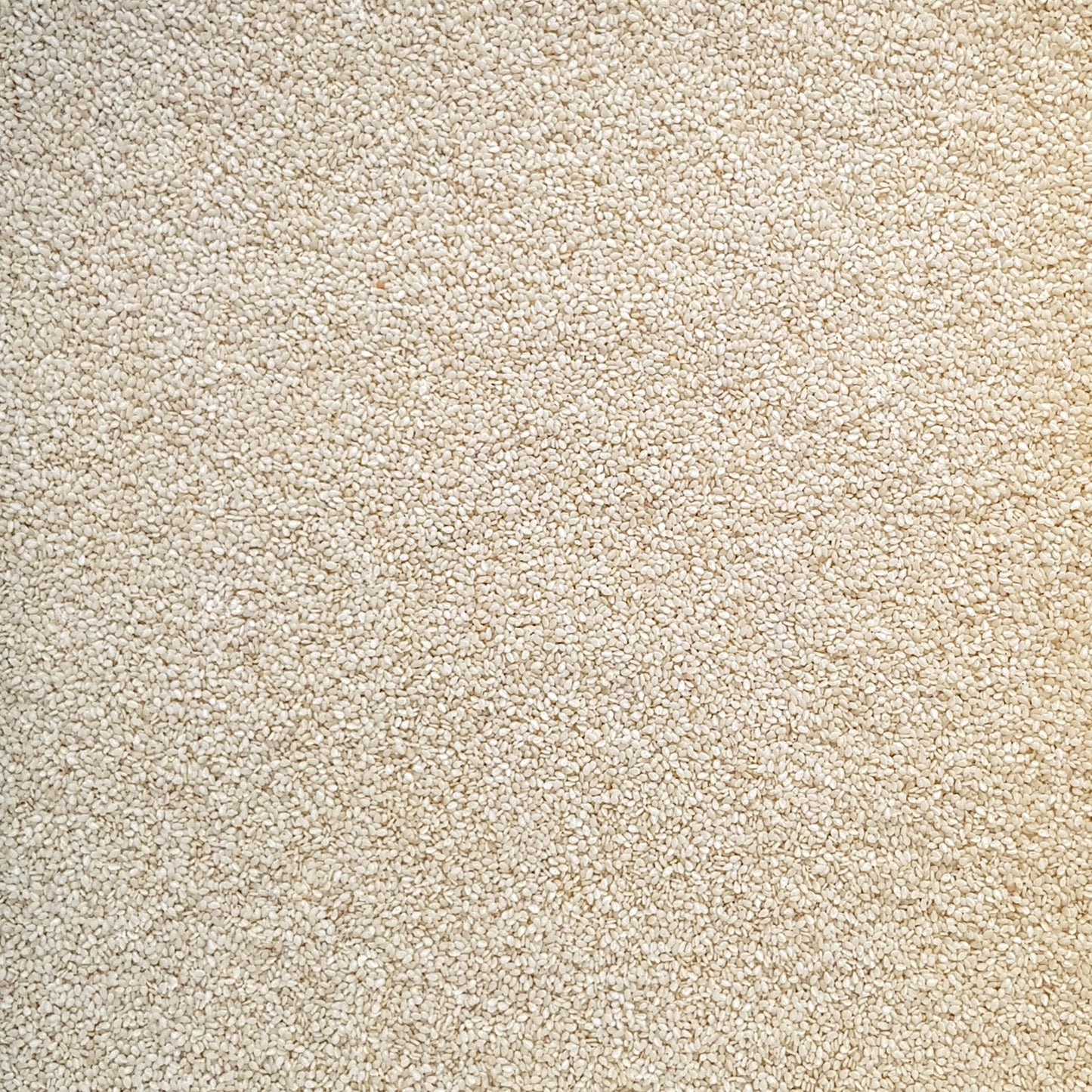 Full frame overhead image of BY NATURE Sesame Seeds - hulled, raw, certified organic at source.