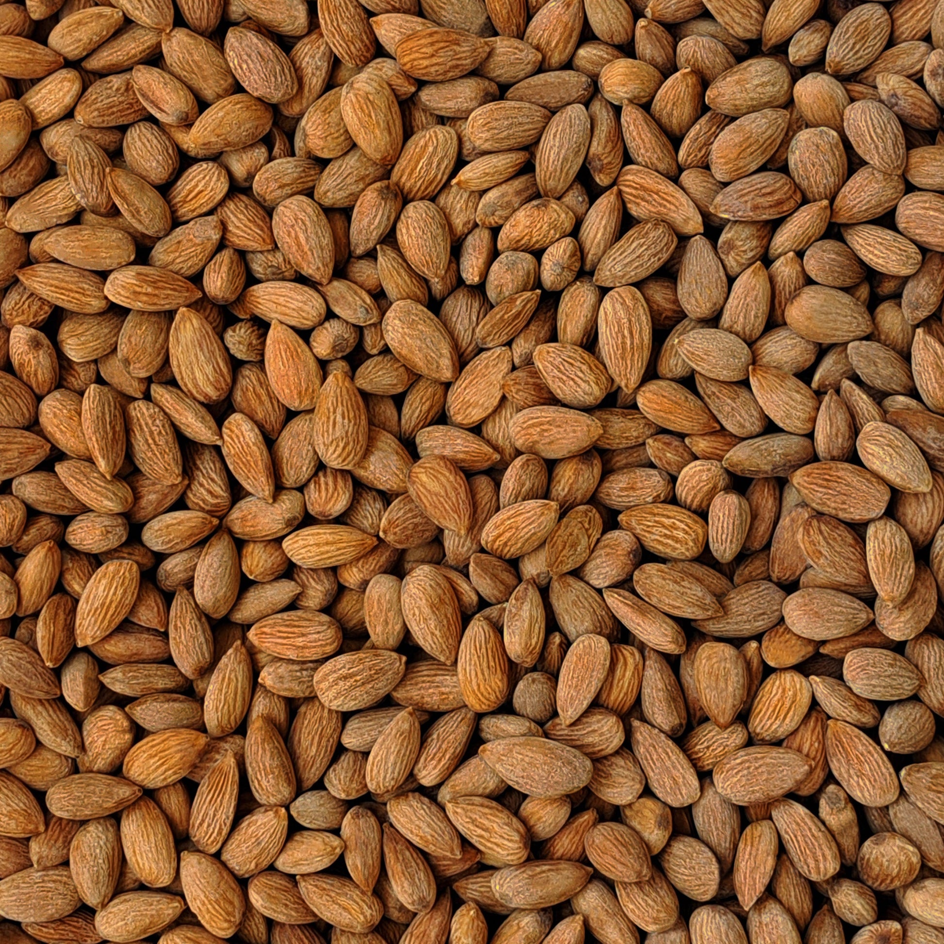 Full frame overhead image of BY NATURE Himalayan Rock Salt Almonds - raw, activated, dried not roasted.