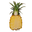 By Nature South Africa logo