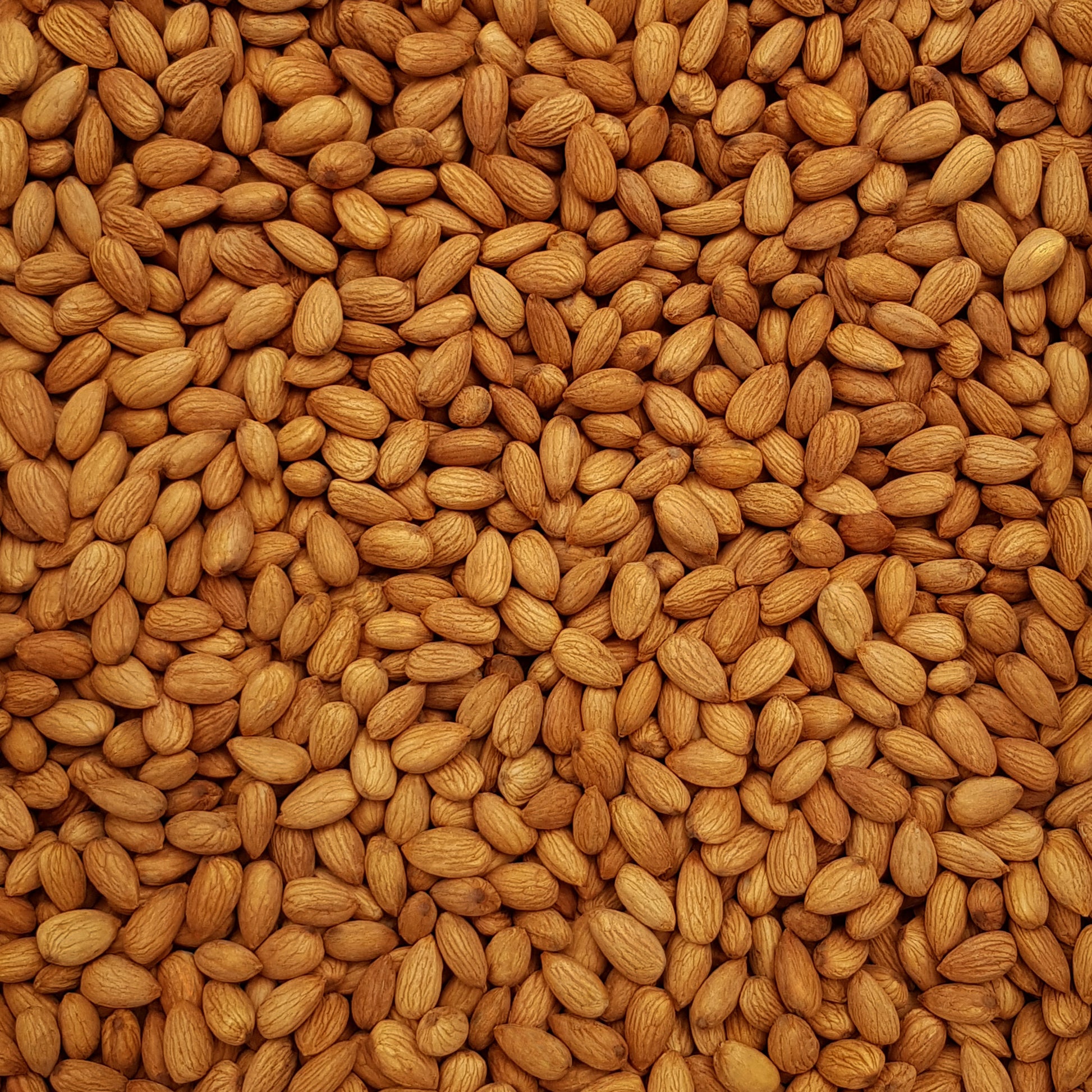 Full frame overhead image of BY NATURE Activated Almonds - Nonpareil Supreme variety, raw, unpasteurised, dried not roasted.