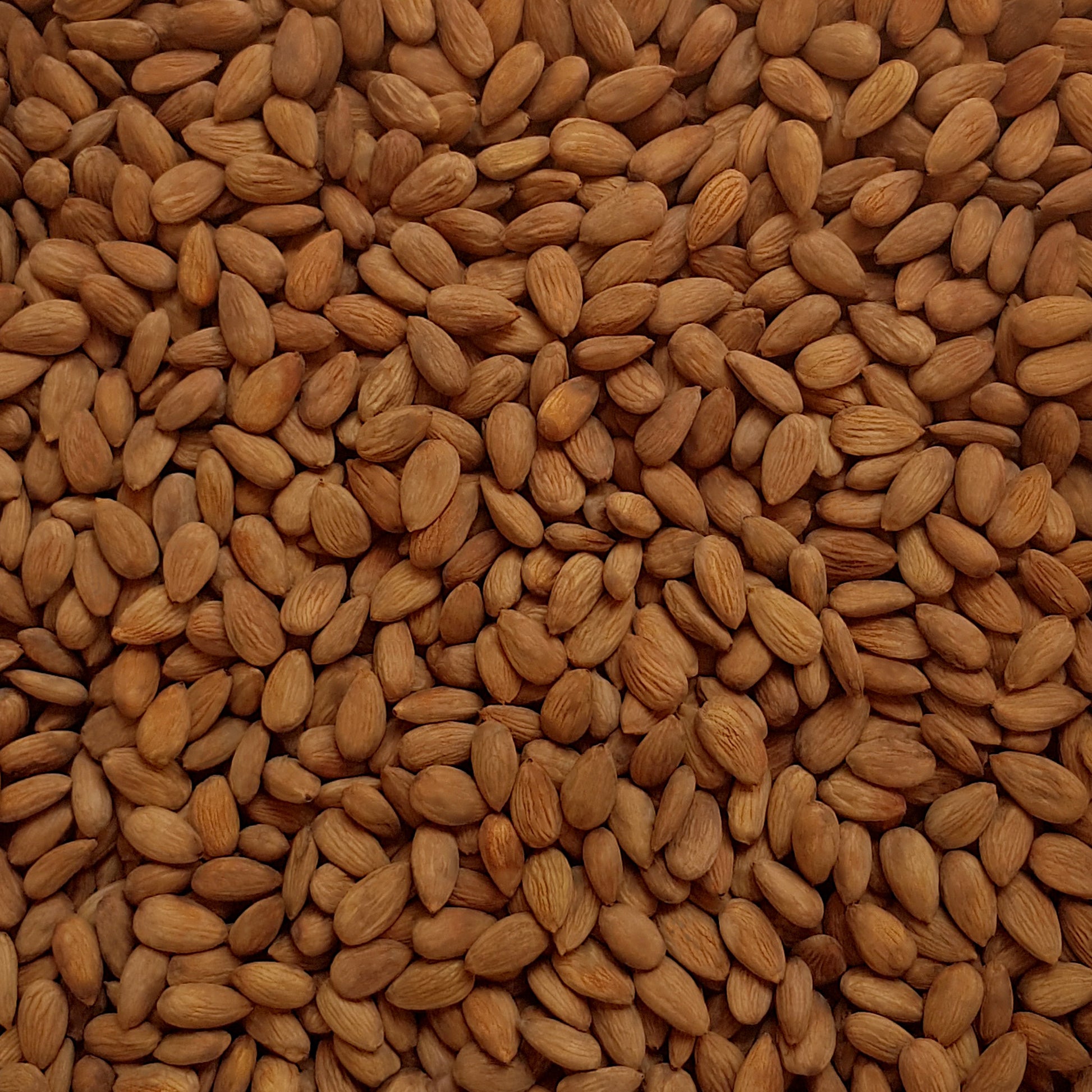 Full frame overhead image of BY NATURE Tamari Soy Sauce Almonds - raw, activated, dried not roasted.
