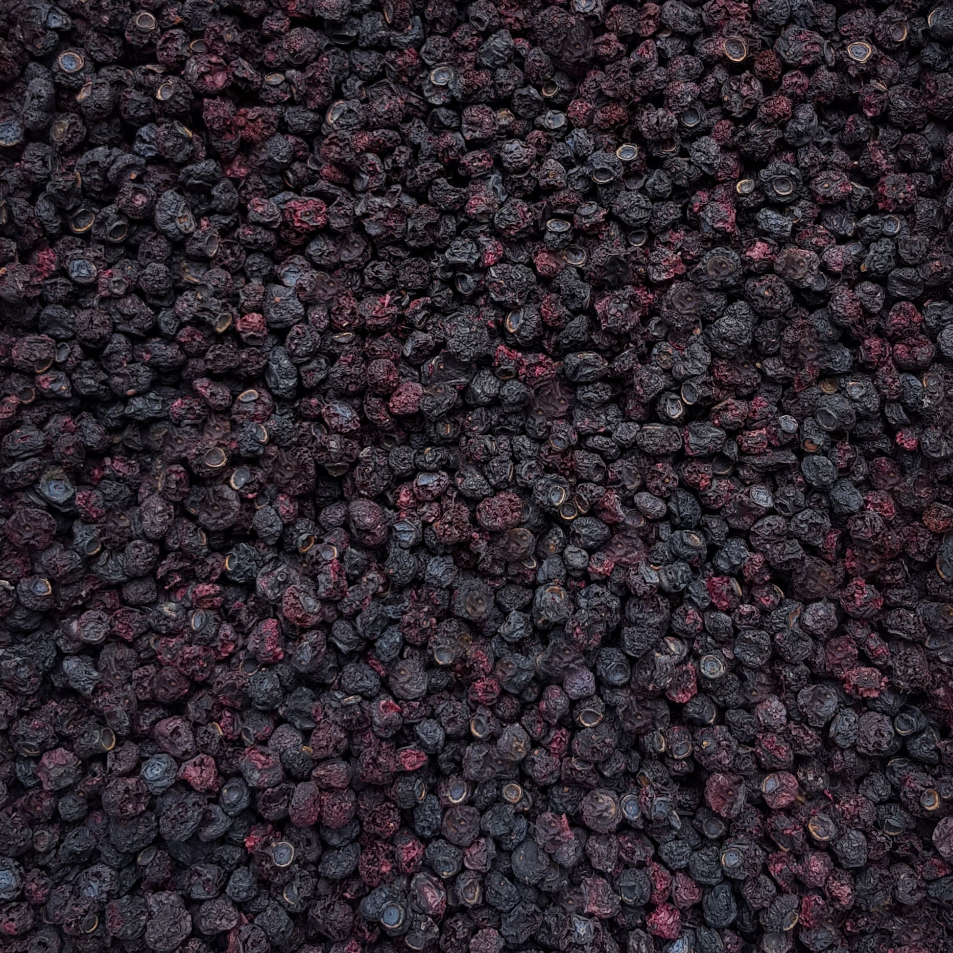 Full frame overhead image of BY NATURE Dried Blueberries - preservative-free.