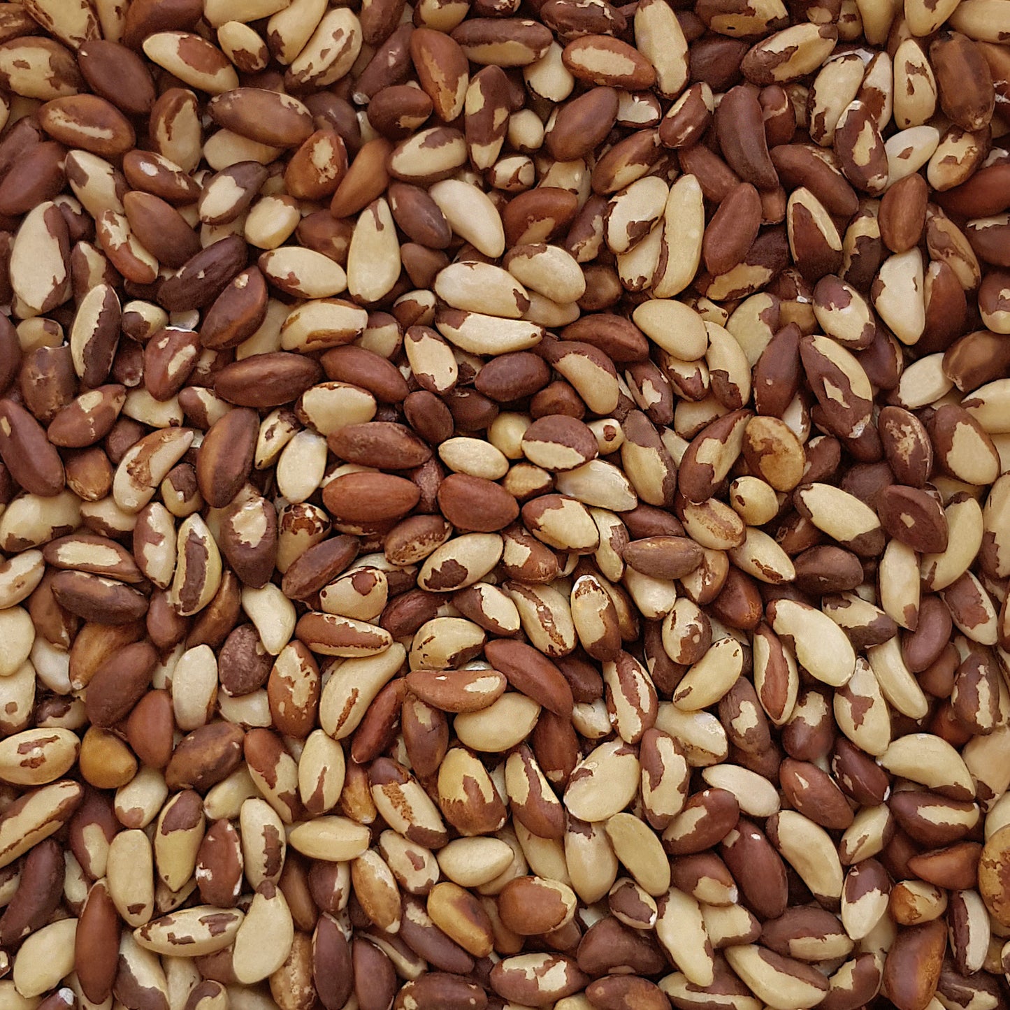 Full frame overhead image of BY NATURE Brazil Nuts - raw.