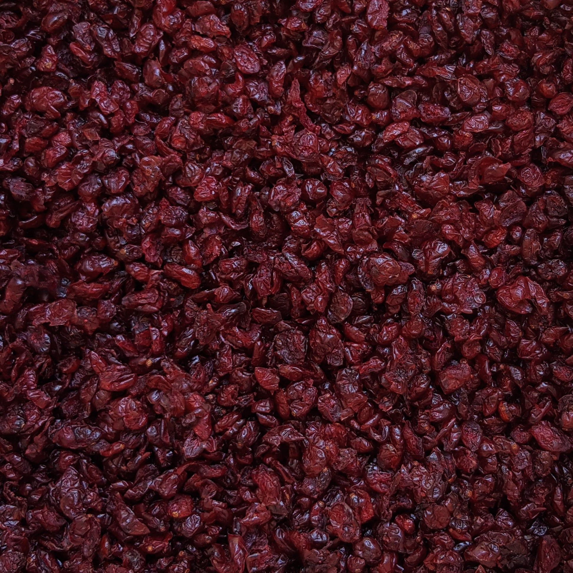 Full frame overhead image of BY NATURE Dried Cranberries - pineapple juice infused, preservative-free.