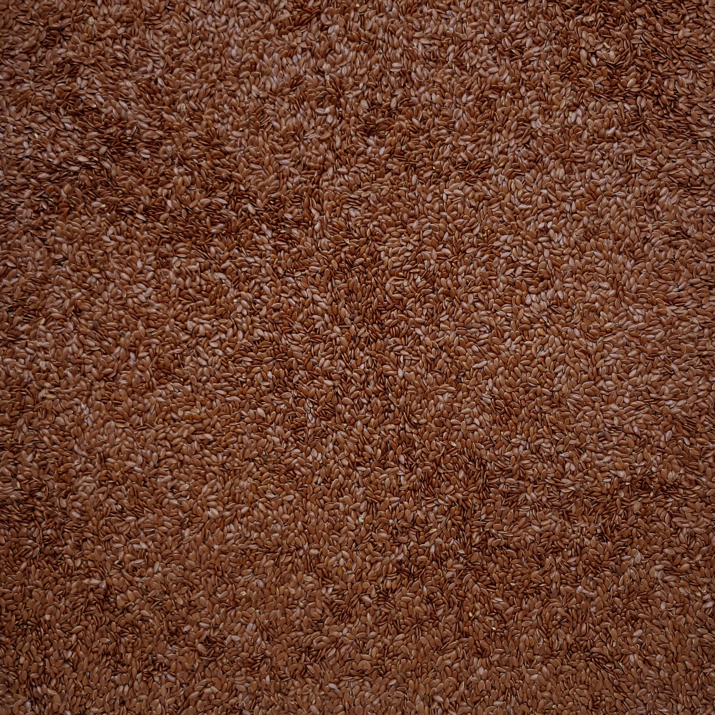 Full frame overhead image of BY NATURE Brown Flax Seeds - raw, certified organic at source.