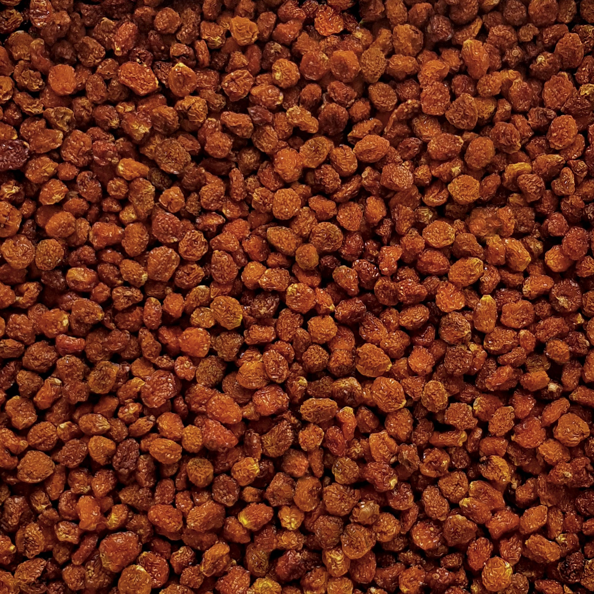 Full frame overhead image of BY NATURE Dried Gooseberries - preservative-free.