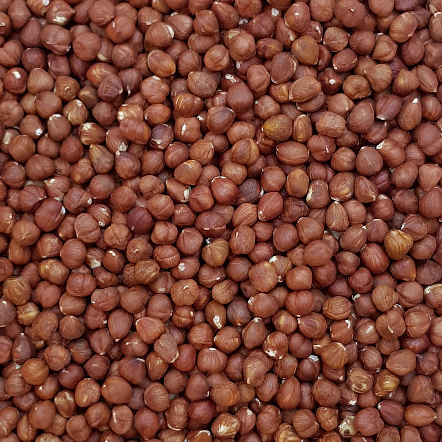 Full frame overhead image of BY NATURE Hazelnuts - raw.