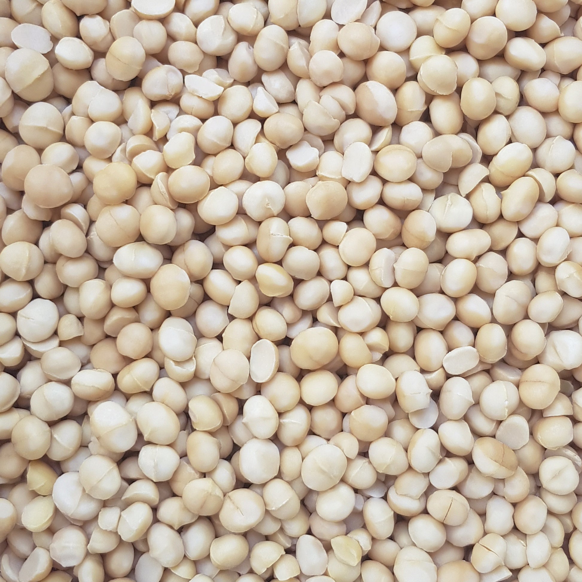 Full frame overhead image of BY NATURE Macadamia Nuts - certified organic at source, raw.