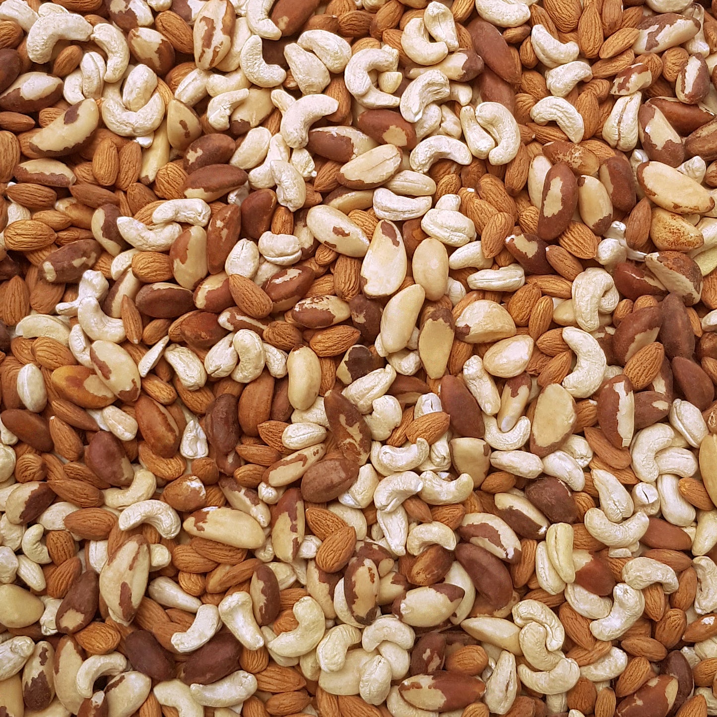 Full frame overhead image of BY NATURE Mixed Nuts - almonds, brazil nuts, cashew nuts, raw.