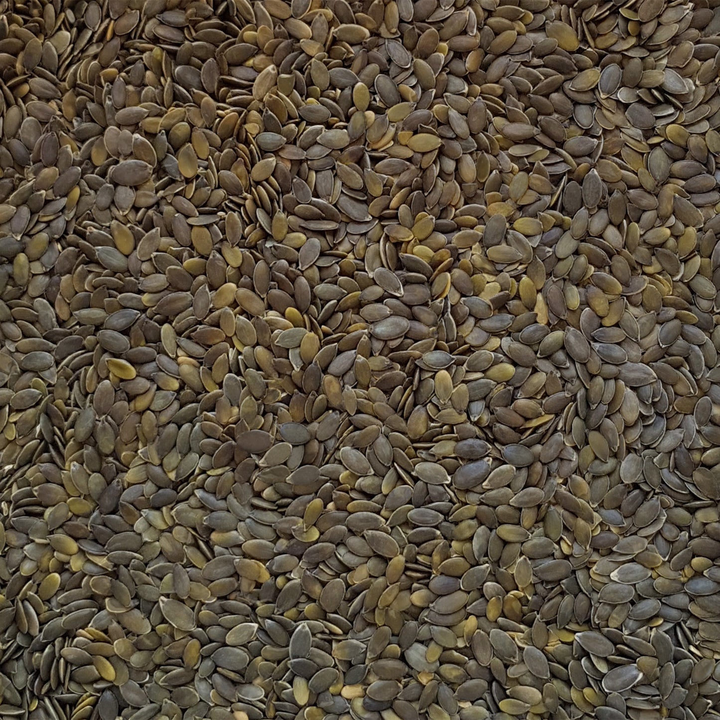 Full frame overhead image of BY NATURE Pumpkin Seeds - hulled, raw, certified organic at source.