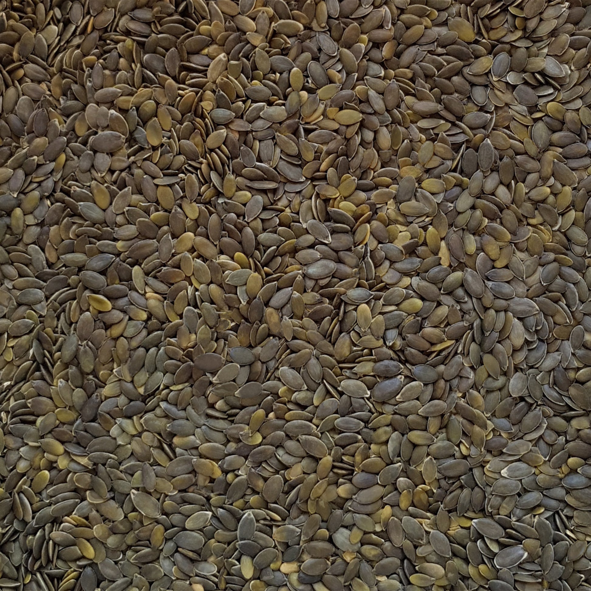 Full frame overhead image of BY NATURE Pumpkin Seeds - hulled, raw, certified organic at source.