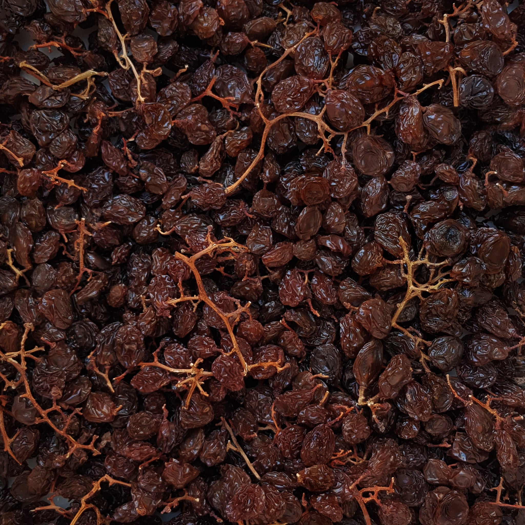 Full frame overhead image of BY NATURE Hanepoot Stalk Raisins with seeds - preservative-free.