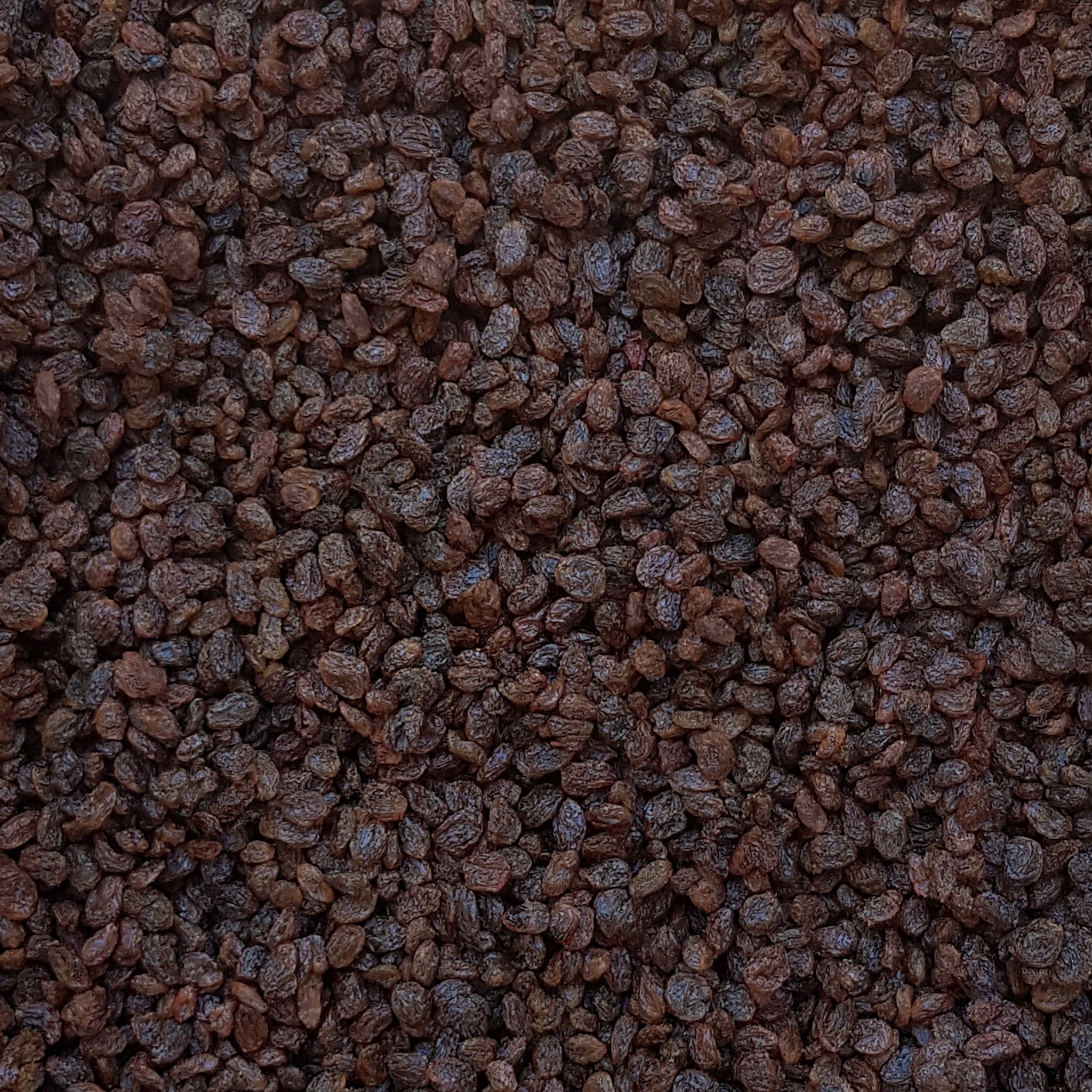 Full frame overhead image of BY NATURE Thompson Seedless Raisins - non-oiled, certified organic at source, preservative-free.