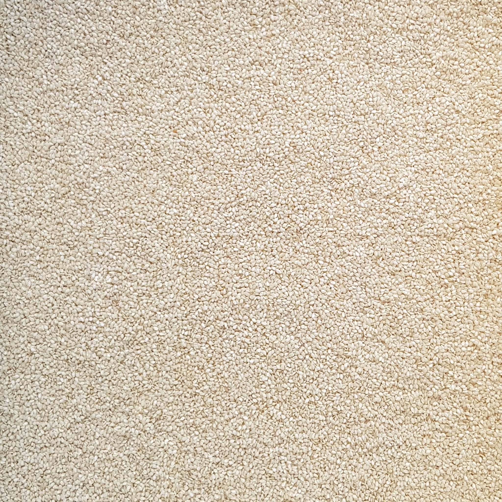 Full frame overhead image of BY NATURE Sesame Seeds - hulled, raw, certified organic at source.