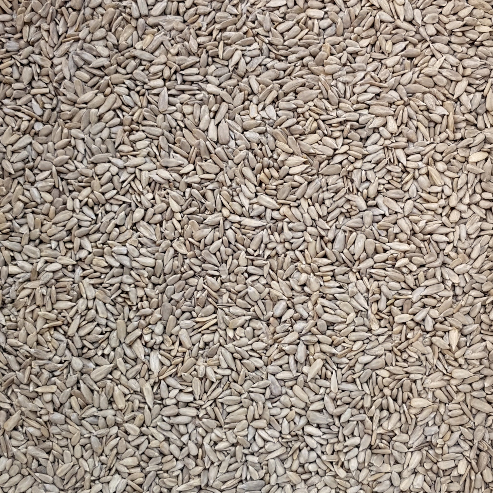 Full frame overhead image of BY NATURE Sunflower Seeds - hulled, raw, certified organic at source.