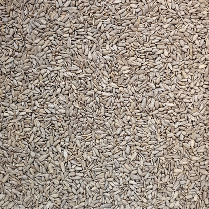 Full frame overhead image of BY NATURE Sunflower Seeds - hulled, raw, certified organic at source.
