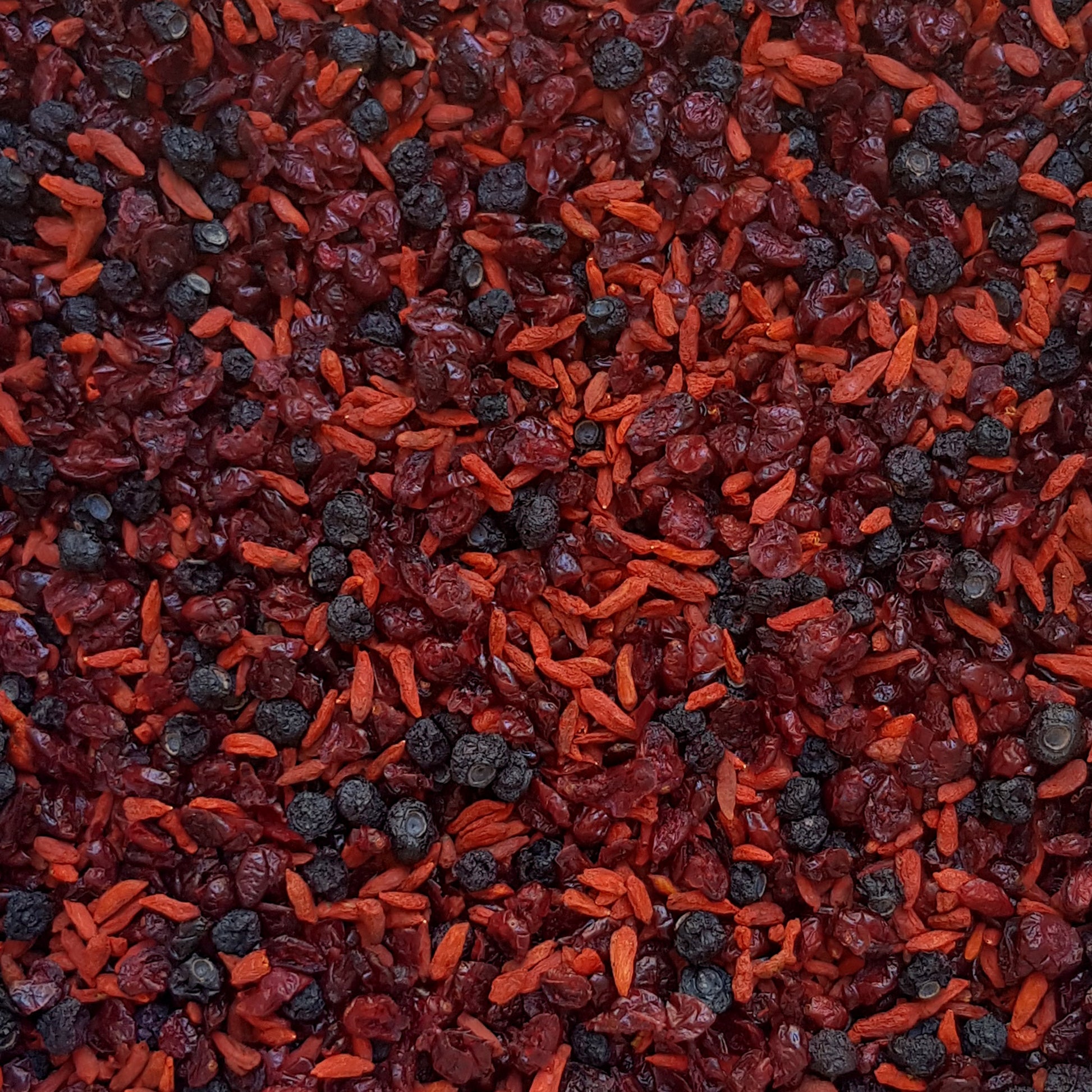 Full frame overhead image of BY NATURE Dried Superberry Mix - cranberries, goji berries, blueberries, preservative-free.