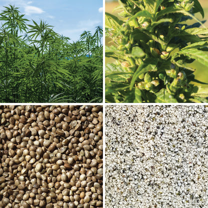 BY NATURE Hemp Seeds - Certified Organic at Source