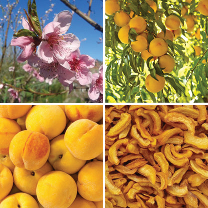BY NATURE Dried Peach Segments, Peeled - Sulphur-free